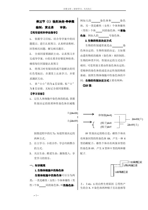 第三节2伴性遗传导学案