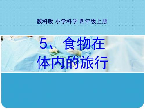 教科版科学四上《食物在体内的旅行》课件