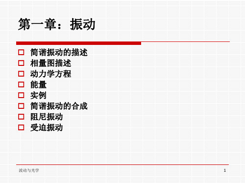 波动与光学复习.ppt