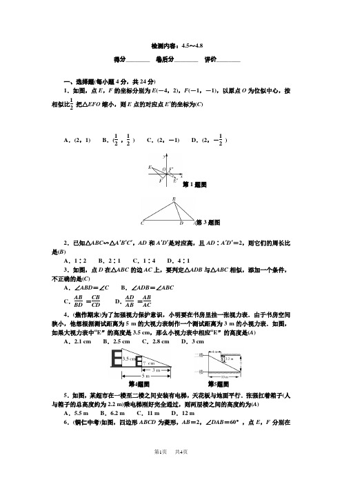 北师九年级数学上册(BS版)周周清 检测内容：4、5～4、8