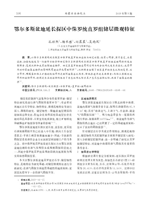 鄂尔多斯盆地延长探区中侏罗统直罗组储层微观特征