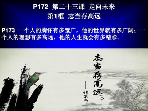 教科版九年级政治第二十三课第123框走向未来