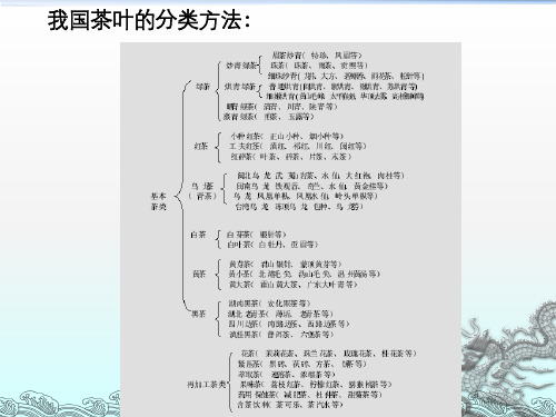 六大茶类品质特点及加工工艺