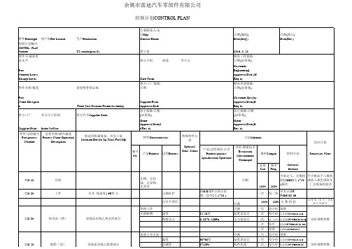 电泳控制计划