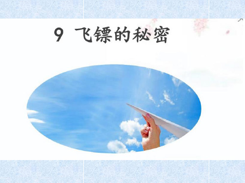 9飞镖的秘密