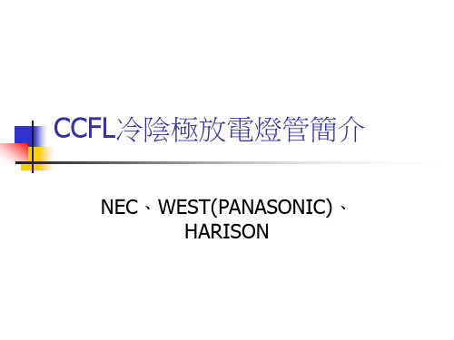 CCFL冷阴极放电灯管简介