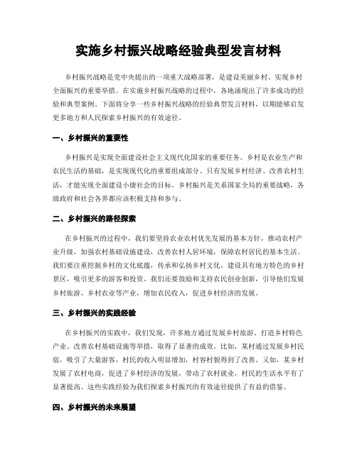 实施乡村振兴战略经验典型发言材料