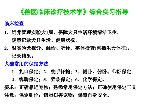 《兽医临床诊疗技术学》综合实习指导