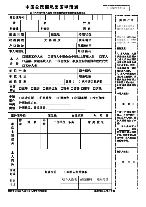 中国公民因私出国申请表