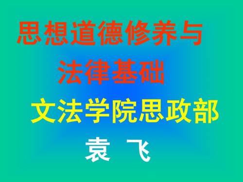 2010第十一讲民法通则2011年