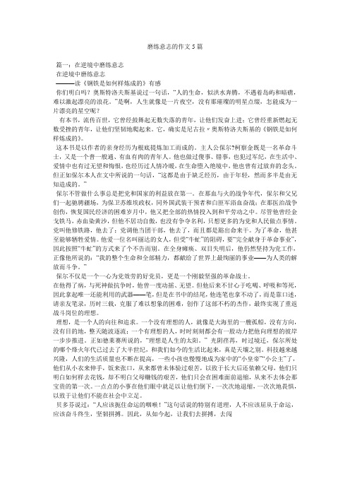 磨练意志的作文5篇精选