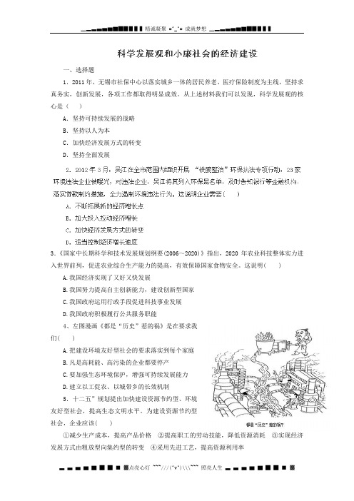 人教版政治精品练习 经济生活专题10 科学发展观和小康社会的经济建设