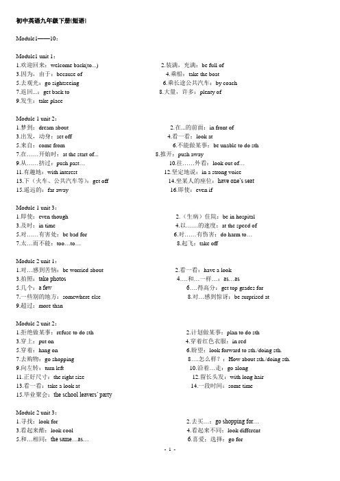 初中英语九年级下册[短语]