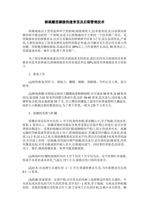 核桃嫩苗嫁接快速育苗及后期管理技术