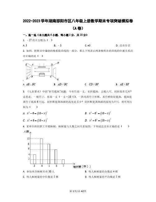 2022——2023学年湖南邵阳市区八年级上册数学期末专项突破模拟卷AB卷(含答案)