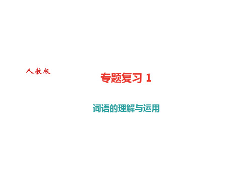 2017-2018学年八年级下册语文(部编版)课件:专题复习1词语的理解与运用(共9张PPT)