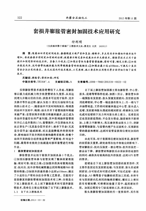 套损井膨胀管密封加固技术应用研究