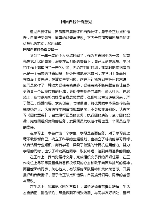 团员自我评价意见