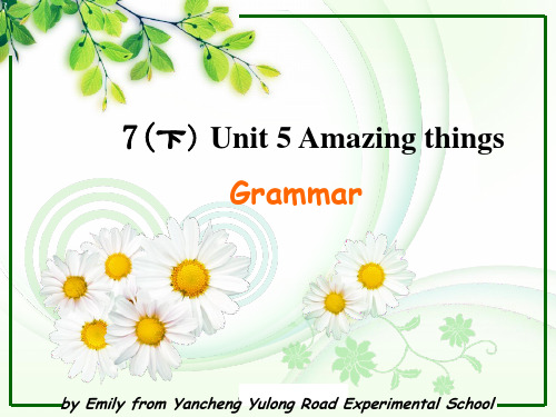 牛津译林版七下英语7bunit5amazingthingsgrammar响水送教下乡课件1(30张ppt)