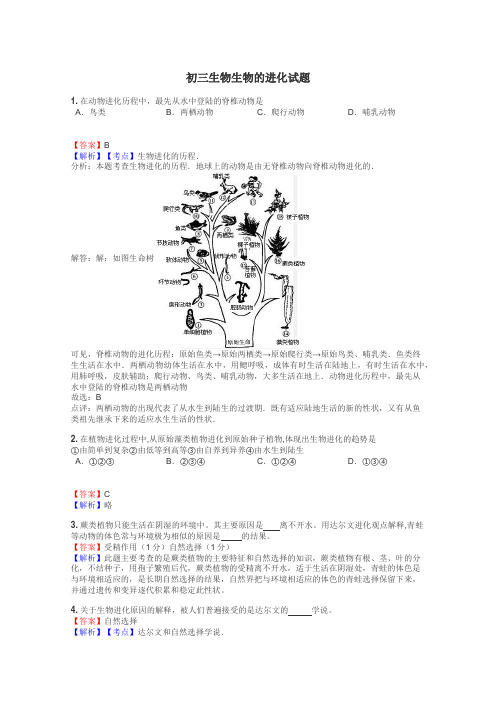 初三生物生物的进化试题
