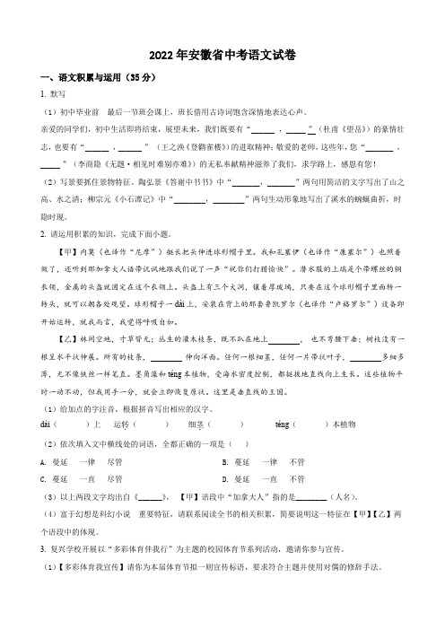 2022年安徽省中考语文试卷(含解析)