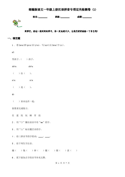 部编版语文一年级上册汉语拼音专项过关检测卷 (1)