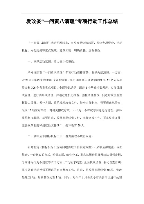 发改委一问责八清理专项行动工作总结精选