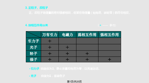 粒子物理简介PPT课件