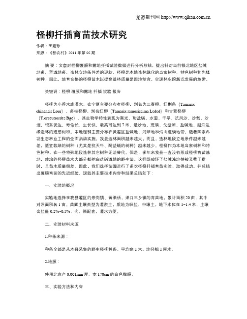 柽柳扦插育苗技术研究