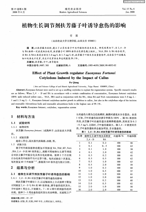 植物生长调节剂扶芳藤子叶诱导愈伤的影响