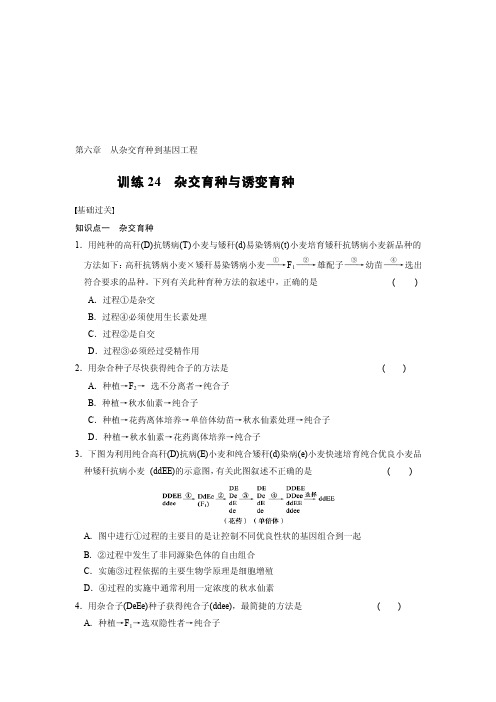 高一必修2生物《步步高》习题与答案[资料]