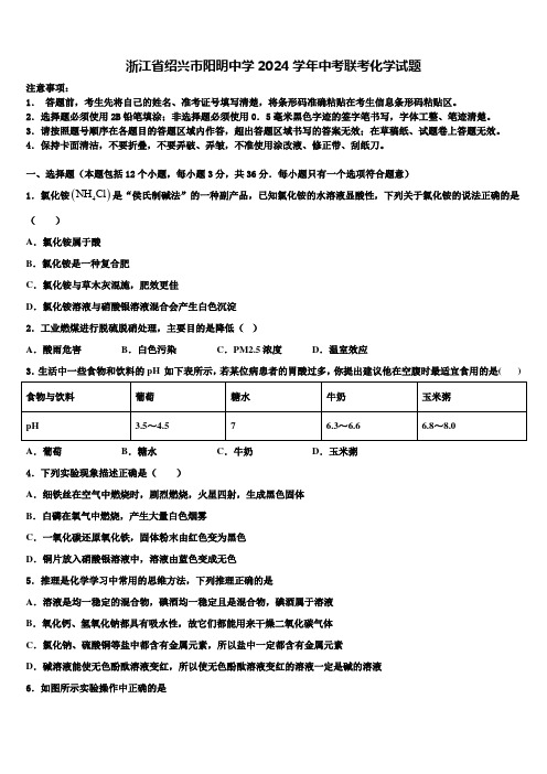 浙江省绍兴市阳明中学2024届中考联考化学试题含解析