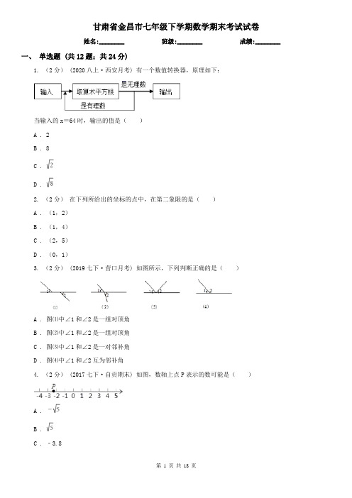 甘肃省金昌市七年级下学期数学期末考试试卷