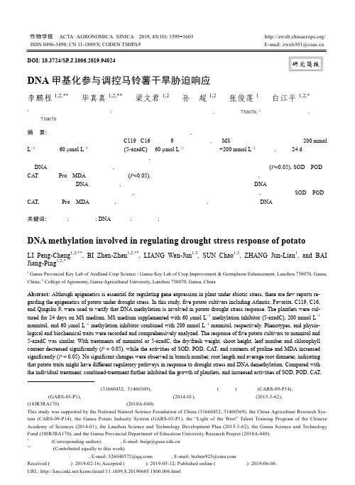 DNA甲基化参与调控马铃薯干旱胁迫响应