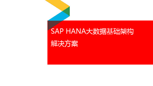 SAP HANA大数据基础架构解决方案