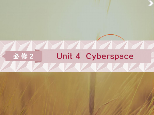 2019届高考英语北师大版总复习课件:必修2 Unit 4 Cyberspace 精品