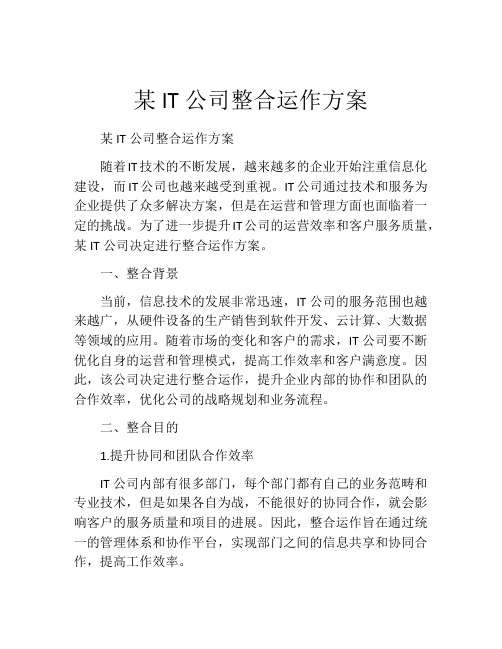 某IT公司整合运作方案