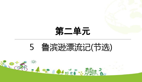 部编版语文六下5  鲁滨逊漂流记(节选)一课一练同步练习随堂练PPT课件