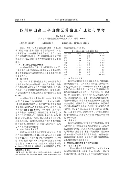 四川凉山高二半山彝区养猪生产现状与思考