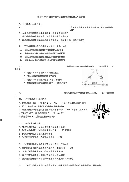 惠州市高三第三次调研考试生物试题