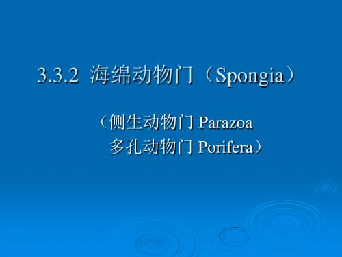 第四章海绵动物门1-文档资料30页