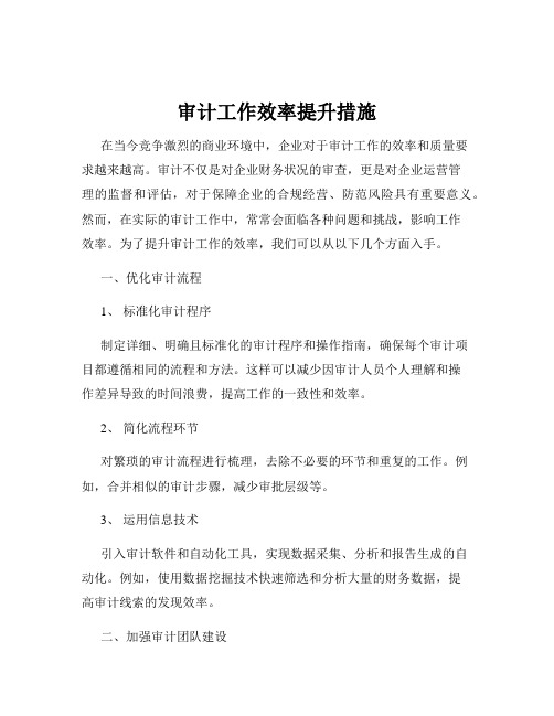 审计工作效率提升措施