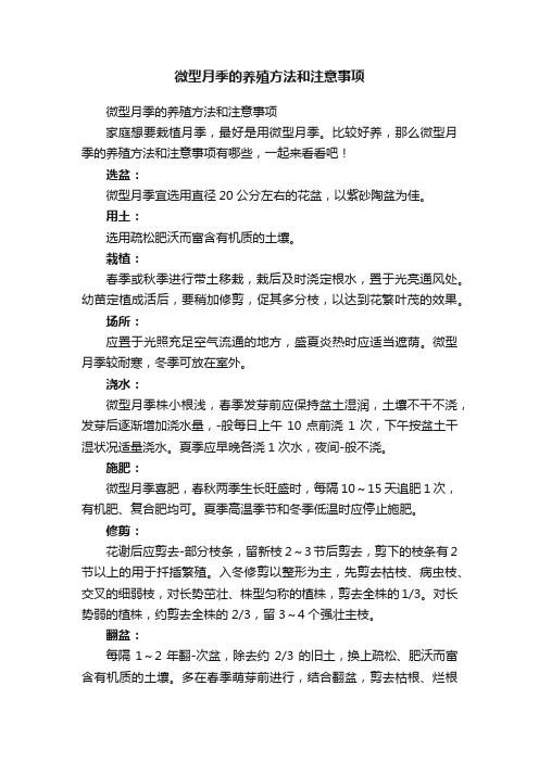 微型月季的养殖方法和注意事项