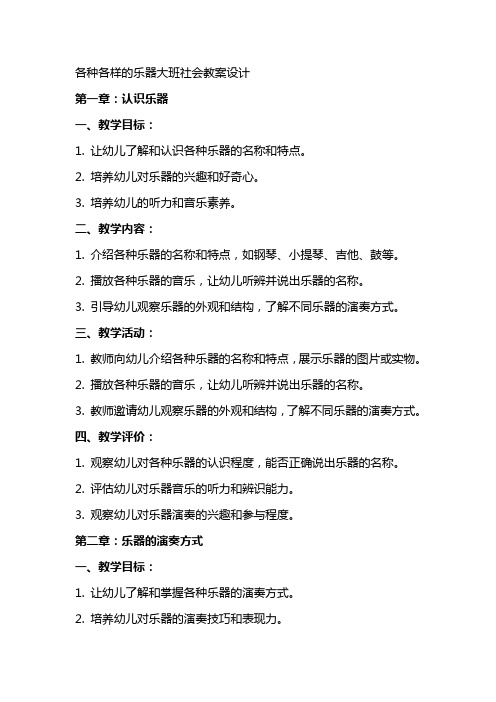 各种各样的乐器大班社会教案设计