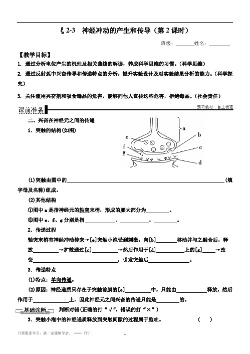 新教材高中生物选择性必修一 神经冲动的产生和传导(第2课时)