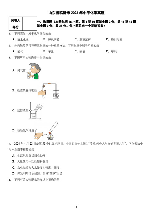 山东省临沂市2024年中考化学真题(含答案)