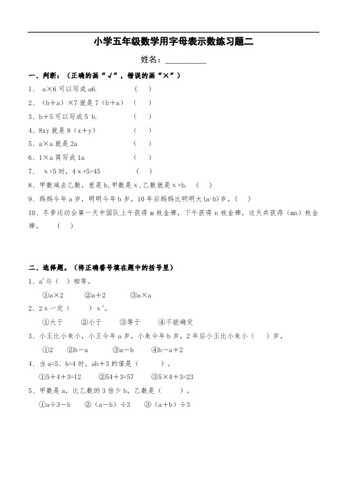 人教版小学五年级数学用字母表示数练习题二(含答案)