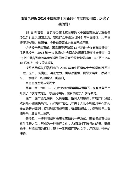 表情包解析2016中国媒体十大新词和年度网络用语，厉害了我的哥！