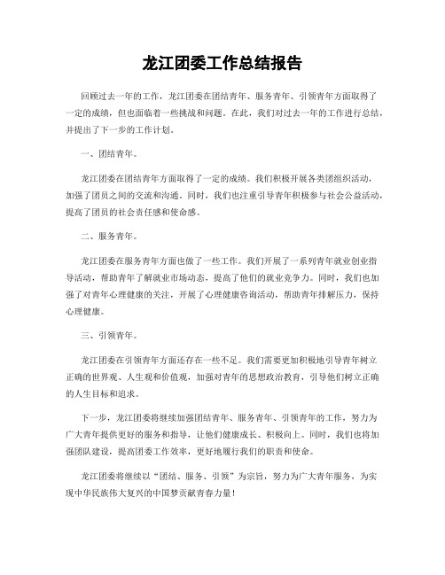 龙江团委工作总结报告