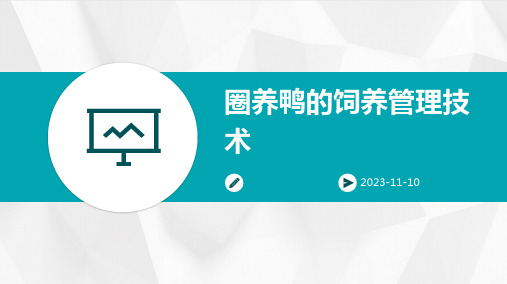 圈养鸭的饲养管理技术